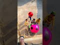Ayo main bola #shorts #funny #comedy #shortvideo #اكسبلور #اغاني