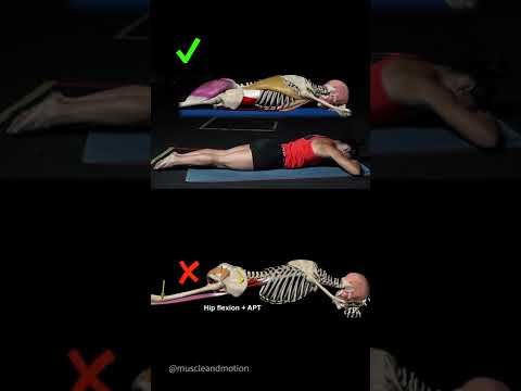 Prone PPT with