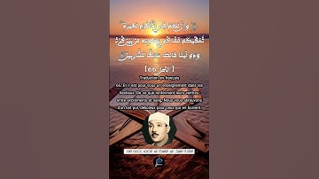 الآية (66) من سورة النحل.... القارئ الشيخ عبد الباسط عبد الصمد رحمه الله.