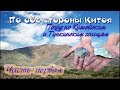 По обе стороны Китоя ч1