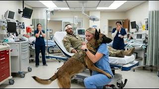 The K9 Blocked Every Doctor From the SEAL Captain’s Officer — But the Nurse Spoke One Code Word
