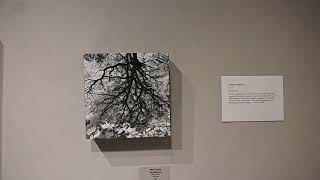 MAC Gallery Show #4