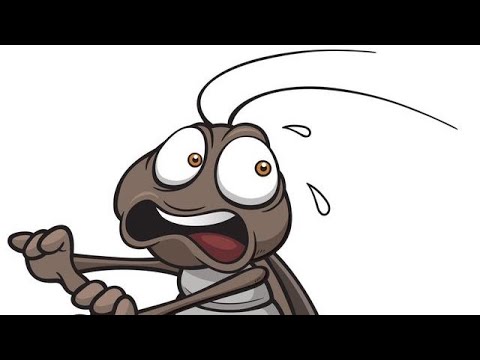 ტარაკნები