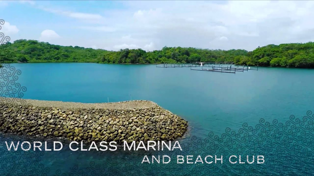 PEARL ISLAND YouTube