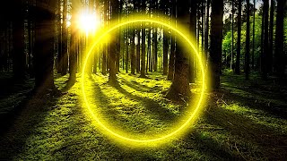 639 Hz | Heal The Relationships & Tighten The Bonds - Isochronic Sleep Music | Heart Chakra Healing