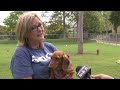 042424 DUAL 5PM PKG CARPINTERIA DOG PARK OPENING Q