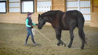 How to Change Directions While Lunging