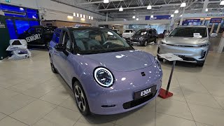 ⚡New JAC E30X EV | Visual Review