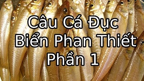 câu cá đục giải trí thật thú vị tại biển tiến thành phan thiết