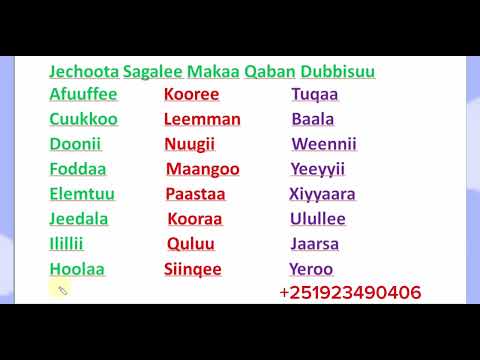 Jechoota Sagalee Makaa Qaban Dubbisuu Learn Afaan Oromoo Amharic English Letters 