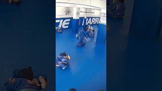 Helicopter Armbar! #bjj #bjjtechniques #bjjlifestyle #jiujitsuarchives