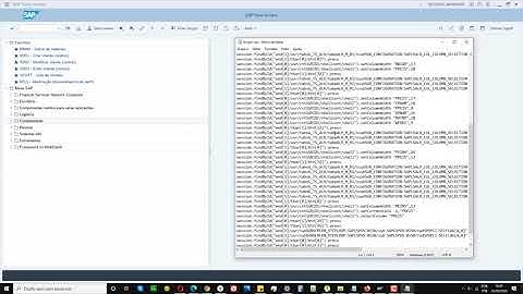 08   Exceutar e analisar Macro e o Script gravado SAP