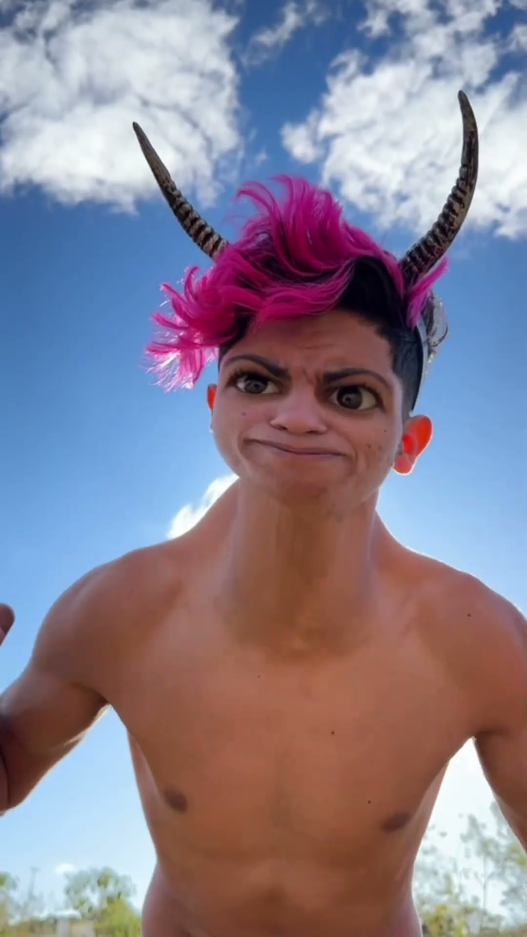 VIDA DE BOI