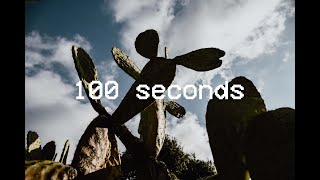 100 Second Photo Vlog 02 - Arizona Cactus Garden