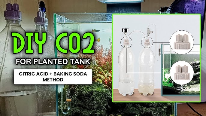 Aquarium 2/3/4 Façon Co2 Tuyau Connecteur Haute Pression Co2 Diy