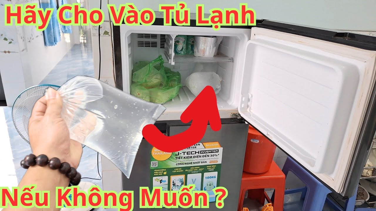 Sài Tủ Lạnh Hàng Ngày Mà Không Biết Điều Này Thì Tiếc Lắm. Cách Làm Cho Tủ Lạnh Tiết Kiệm Tiền Điện