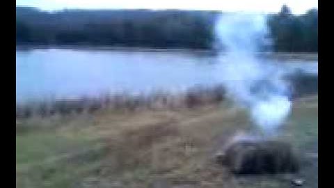 How to keep geese out of your pond.