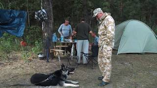 Трое в лодке, с учётом собаки. Трое в лодке, с учётом собаки.