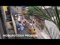 Kola Bou Snan | Maha Saptami | Durga Puja 2021