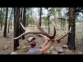 Finally found my dream set of elk antlers 