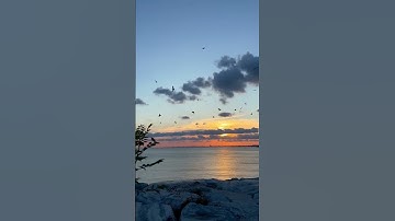 القران الكريم صفحة  153 من سورة الاعراف بصوت القارئ عبدالله الجنابي