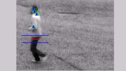 Extraction of time series from video data, Utah State University