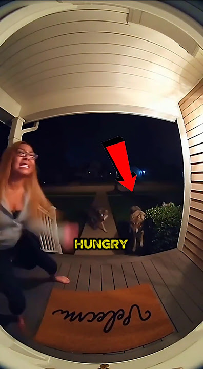 She Was Screaming For Help... Then The Wolves Arrived 😨