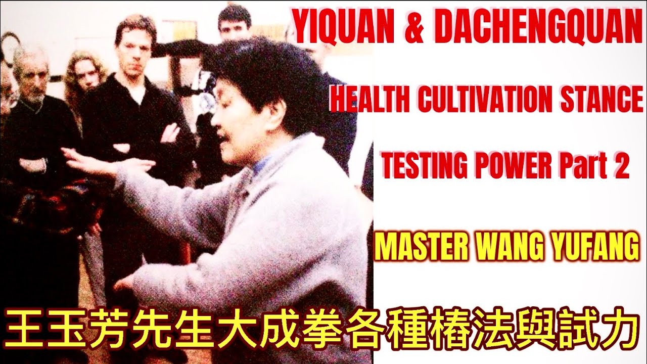 Yiquan Old Footage of Stance & Testing Power #yiquan #dachengquan #wangyufang