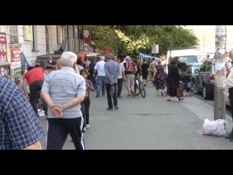 საგანგაშოა თუ არა თბილისში გამოვლენილი ცოფის ახალი შემთხვევა