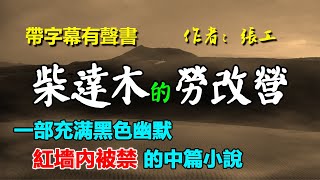 🤣《柴达木劳改农场的故事》 作者：张工，这是一部小说，但不全然是虚构，我们曾经这样生活。—— 作者题记 #听书 #聽書 #小說 #小说 #有声书 #禁书