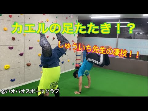 26【10日目休校チャレンジ！今日はカエルの足たたきでたいけつだ 