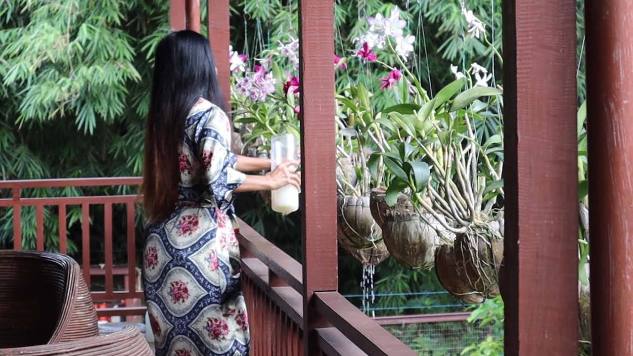 Akhirnya Bisa Buat Sendiri Pot Kelapa Gantungnya II Tips menanam Anggrekku