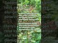 Sadermo nglampahi kanti raos syukur