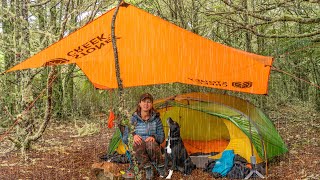 Camping Alone In Heavy Rain And Thunder With My Dog