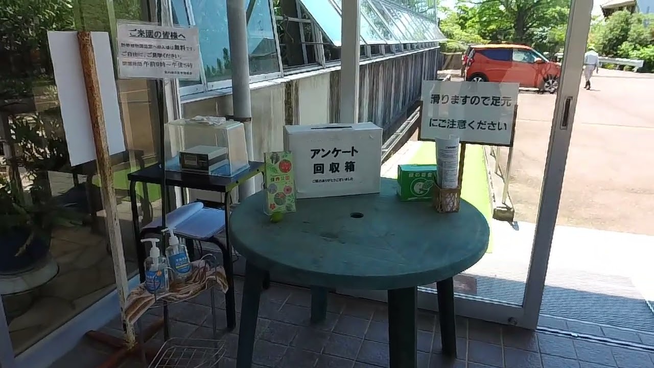 新潟県三条市下保内 / 250725✅数多の盆栽や庭木が織り成す「生きた工芸」の回廊。#樹芸 #緑の芸術 #雪国の知恵