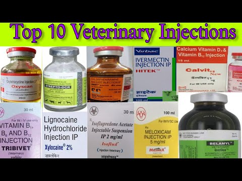 Top 10 Veterinary