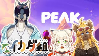 今日は山の日なのでイカダ組登山部【PEAK】