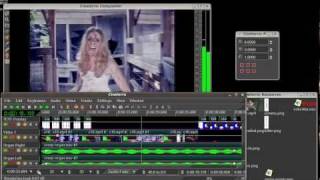 How To Create And Edit Flash Video For Websites Using Cinelerra Part 1