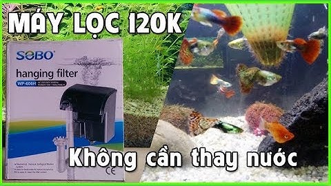 Máy Lọc Nước Mini Cho Hồ Cá Giá Rẻ Sobo 606h - Lọc Trong Vắt Không Cần Thay Nước
