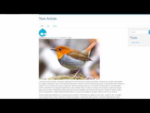 30 - Add Bootstrap Theme