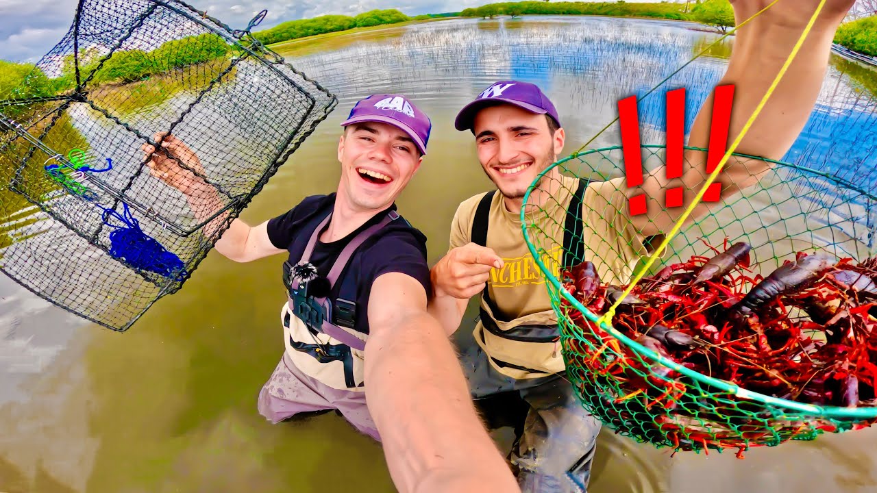 Générique Nasse à Poissons Et écrevisses – Portable Avec Trous, Corde Et Boule D’appât, Pour Crevettes, Homards Et Anguilles