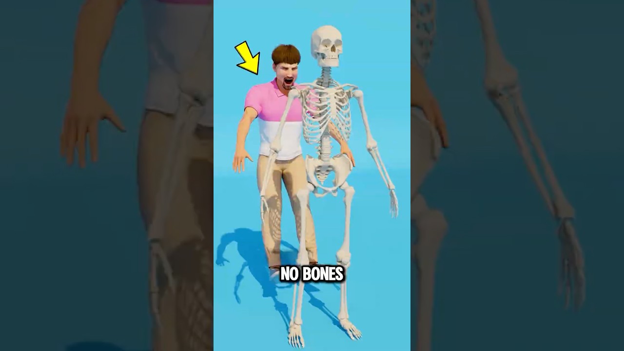 А что, если бы у людей не было костей? 🤔