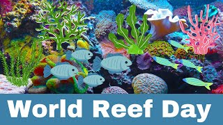 Reef Reverie: Celebrating the Wonder and Resilience of Coral Reefs on World Reef Day