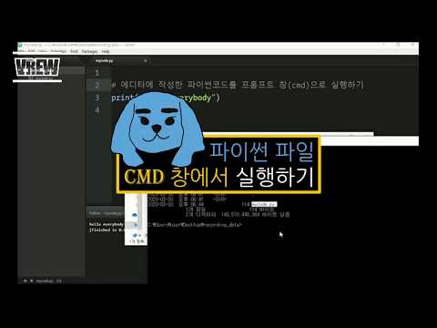 파이썬 파일 CMD 창에서 실행하기