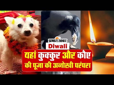 Diwali 2023: इस देश में दिवाली के दौरान कुक्कुर और कौए की पूजा की अनोखी परंपरा