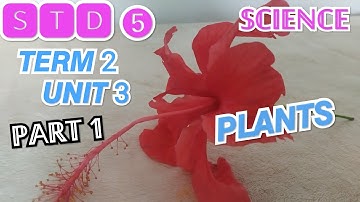 std 5, Science, Term 2, Unit 3 - Plants (Part 1)