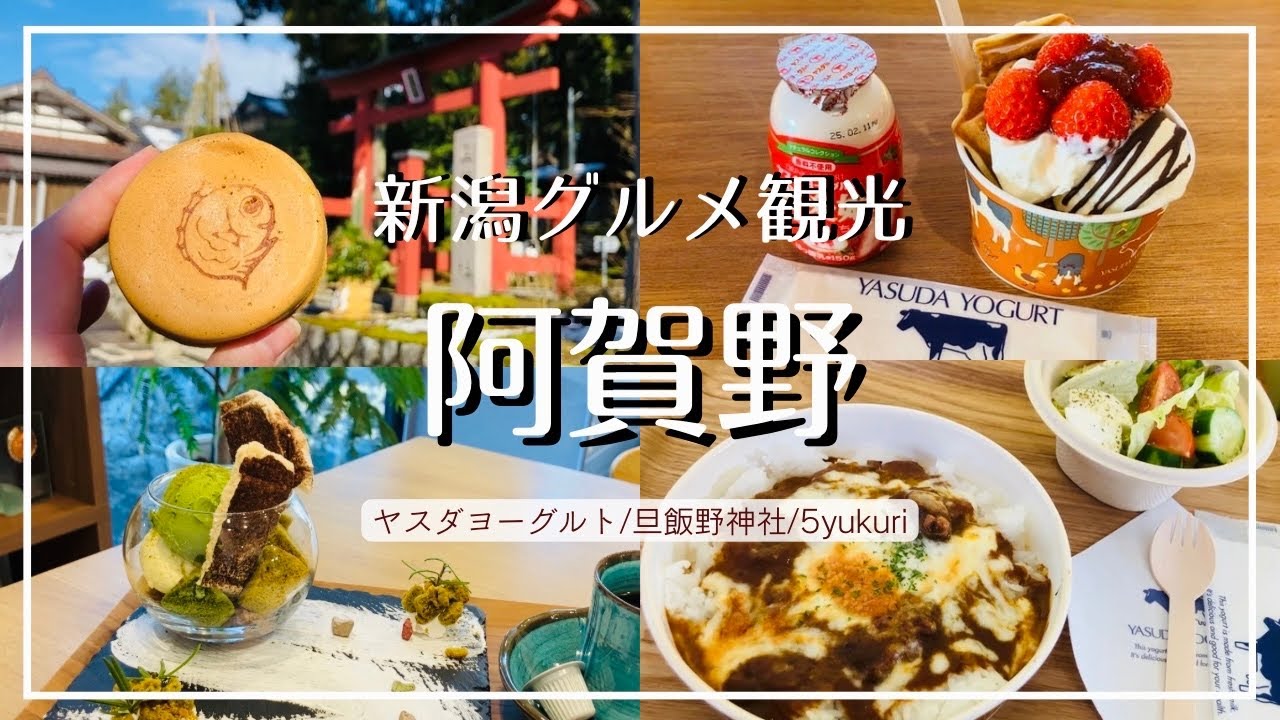 【新潟グルメ】阿賀野市 ヤスダヨーグルト直営店でNEWオープンランチ/2月20日まで期間限定！無料キャンペーン/地元で人気のパワースポット 旦飯野神社/まるで苔！？なスイーツ 造園屋カフェ【おすすめ】