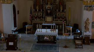 Holy Mass, Vigil,  July 11, 2026