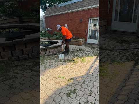 How To Remove Weeds From Patio Pressurewashing Weeding 
