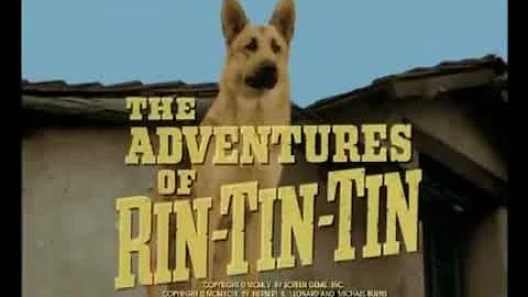 Cosa significa Rin Tin Tin?